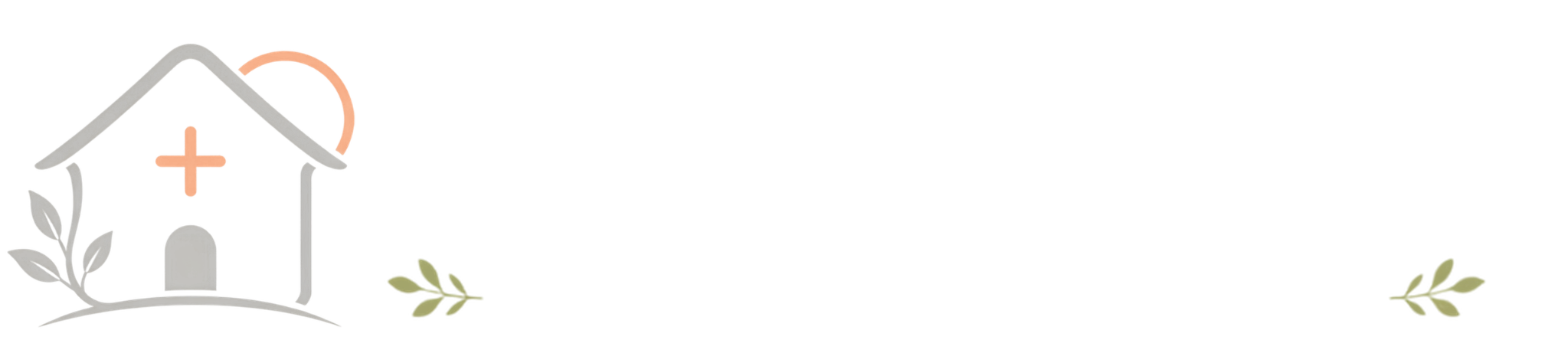 PansiyonPlus Logo